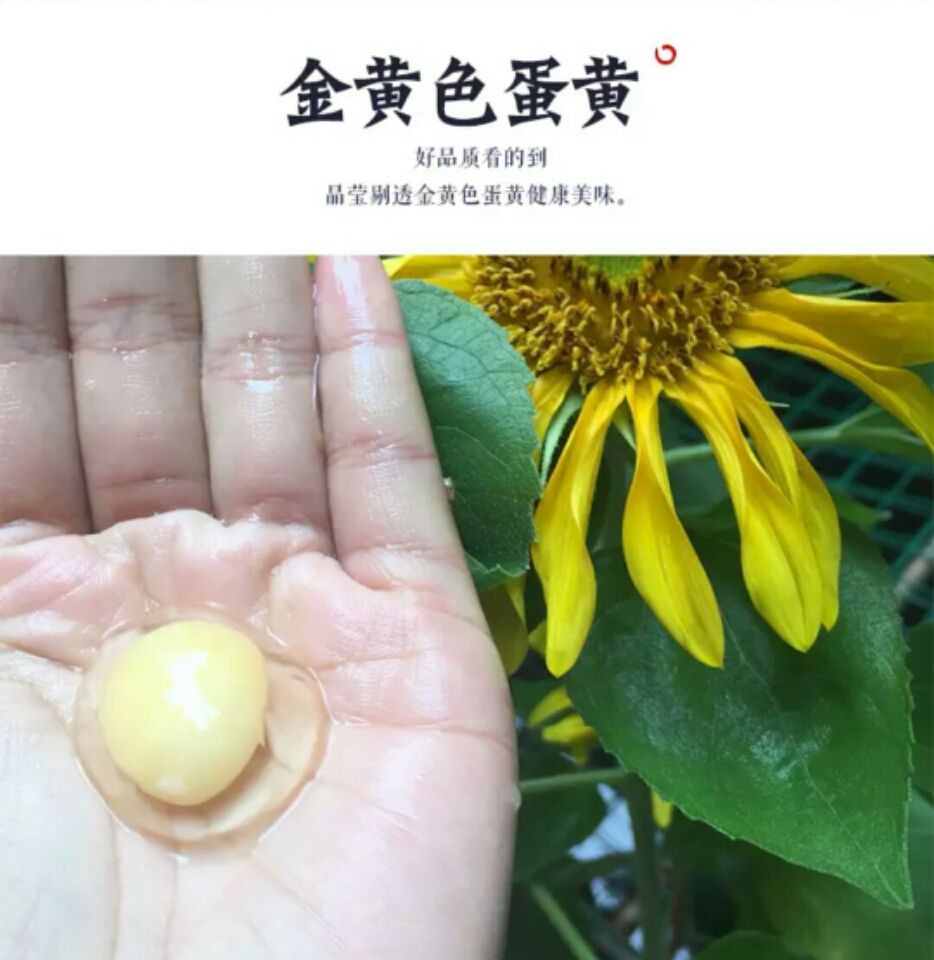乌龟蛋  新鲜龟蛋……