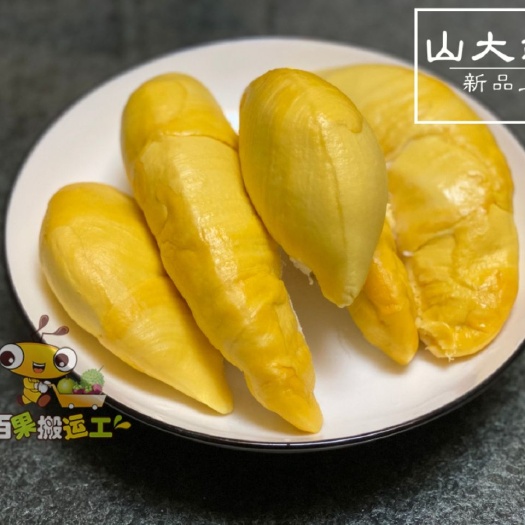 南宁 泰国榴莲巴掌诺通赞 5公斤 328包邮(预售单件发)