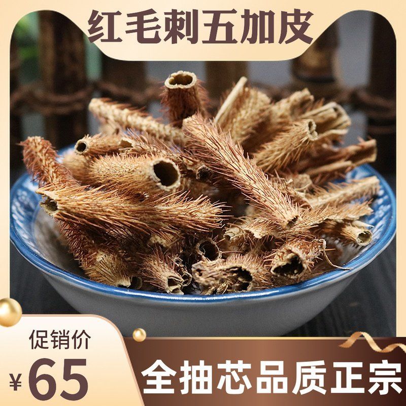 正宗五加皮 红毛刺五加皮