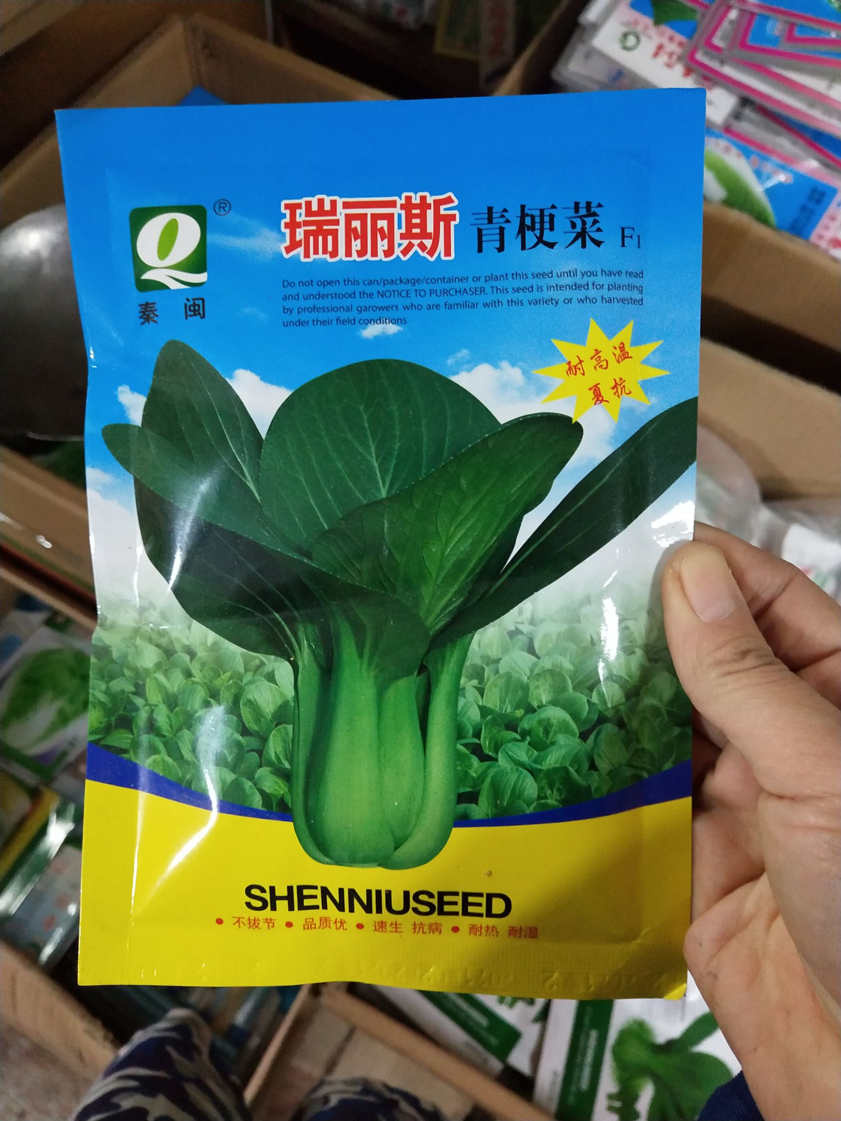  瑞丽斯青梗菜种子 上海青蔬菜种子 农民专用露地大棚专用
