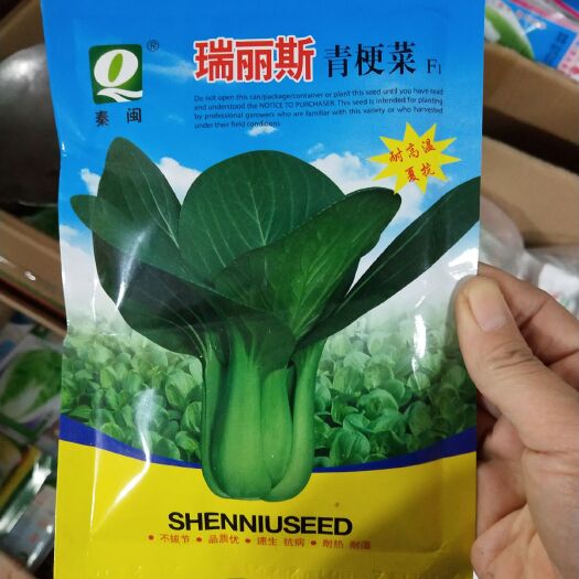  瑞丽斯青梗菜种子 上海青蔬菜种子 农民专用露地大棚专用