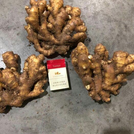 修文县 精品【小黄姜】一手货源！产地直销 质量保证 全国发货