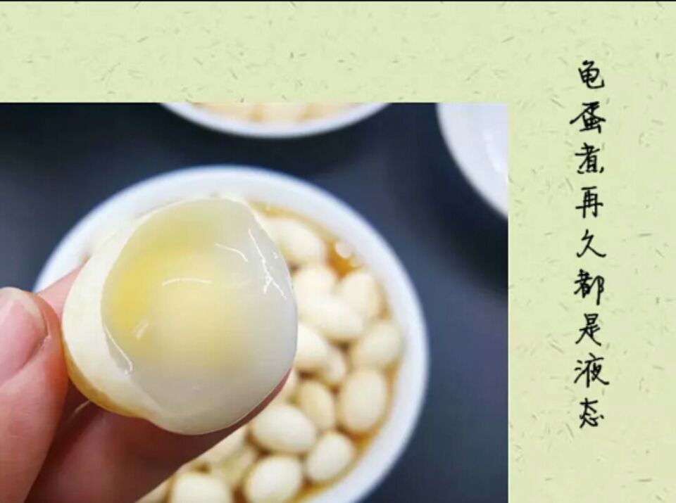乌龟蛋  新鲜龟蛋……