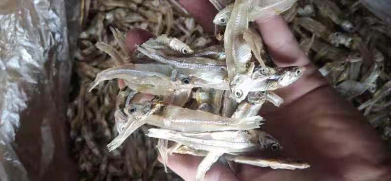 銀魚干  深海小魚干，是你可以信賴和選擇的好產(chǎn)品， 質(zhì)量保證