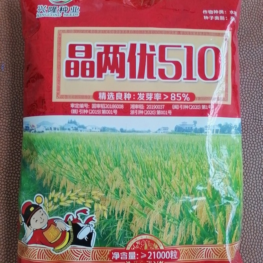 溆浦县晶两优【510】优质大米