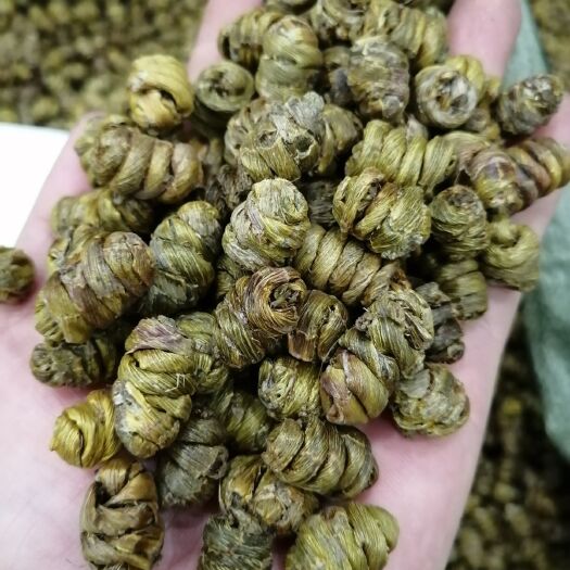 铁皮石斛枫斗  铁皮石斛  铁皮石斛干条 铁皮石斛鲜条