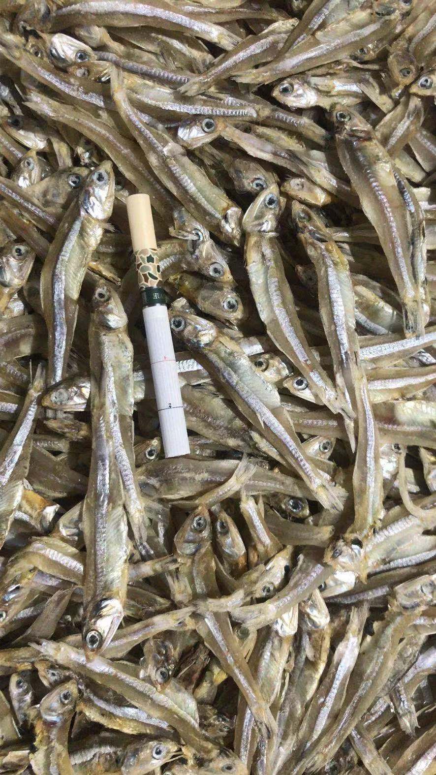 銀魚干  深海小魚干，是你可以信賴和選擇的好產(chǎn)品， 質(zhì)量保證