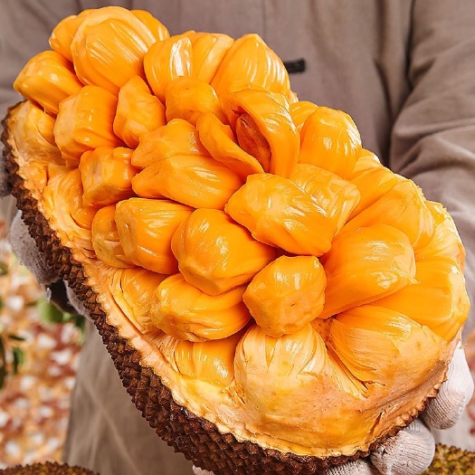 榴莲蜜树苗  榴莲蜜苗，嫁接榴莲果树苗盆栽地栽 带土带叶发货 包邮
