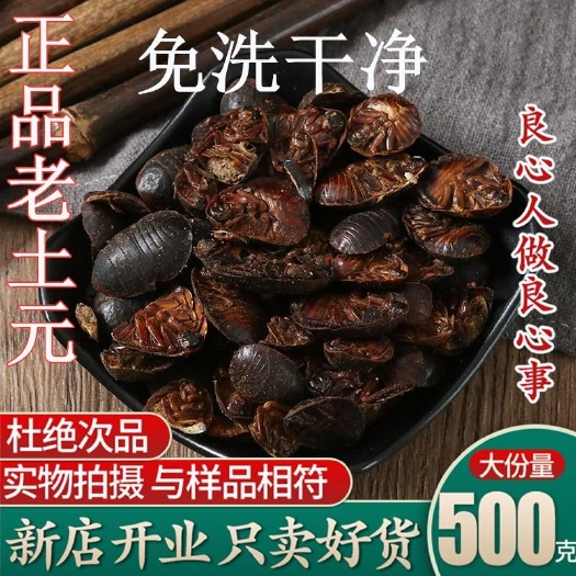 亳州中华土元  正品选装大土元 中药材土元干 土虫 可打土元粉
