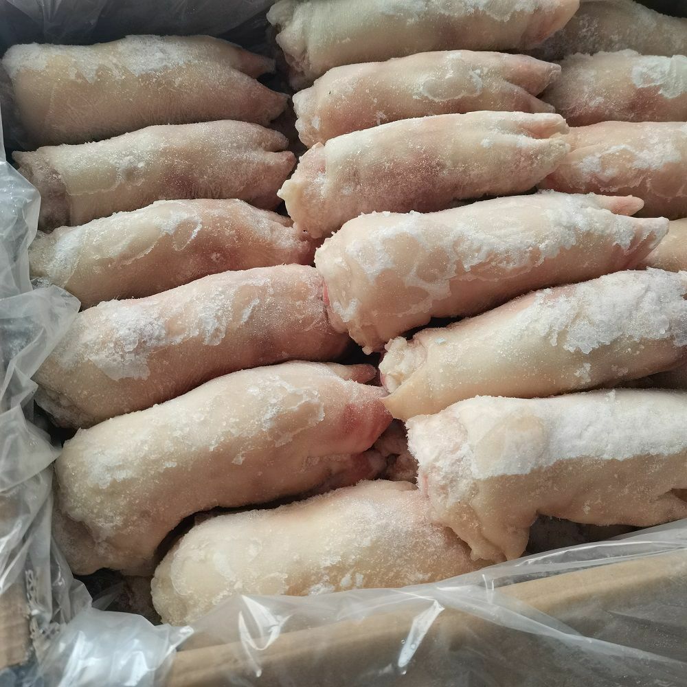 小猪蹄 20斤50个左右一箱 猪蹄膀 猪爪 新鲜冷冻前后