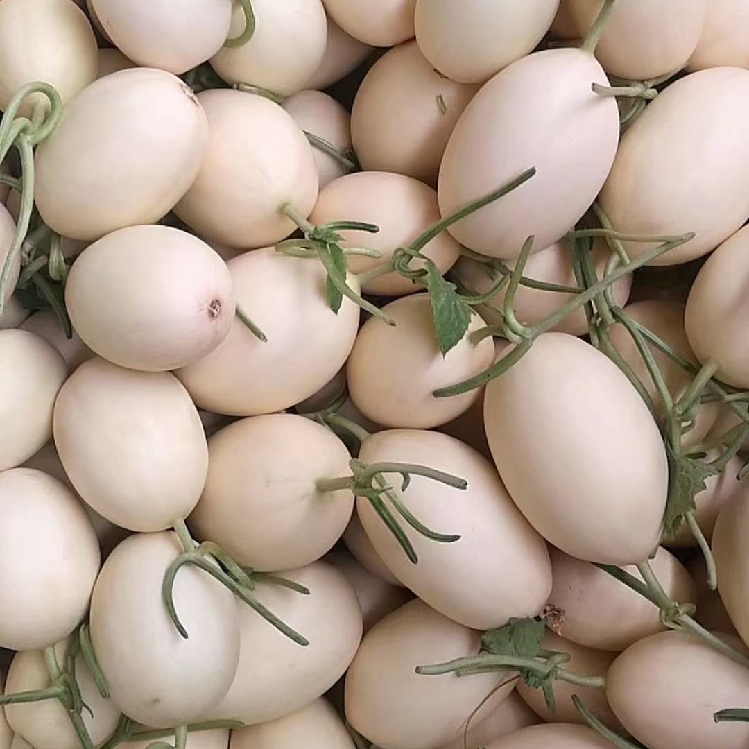 [东方蜜甜瓜批发]东方蜜甜瓜 东方蜜 红金蜜 产地直供 甜瓜基地价格1.