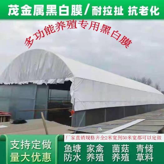 临沂黑白膜绿白膜降温反光加厚食用菌养殖隔热鱼塘防渗无滴大棚膜