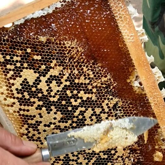 儋州市农家自产土蜂蜜