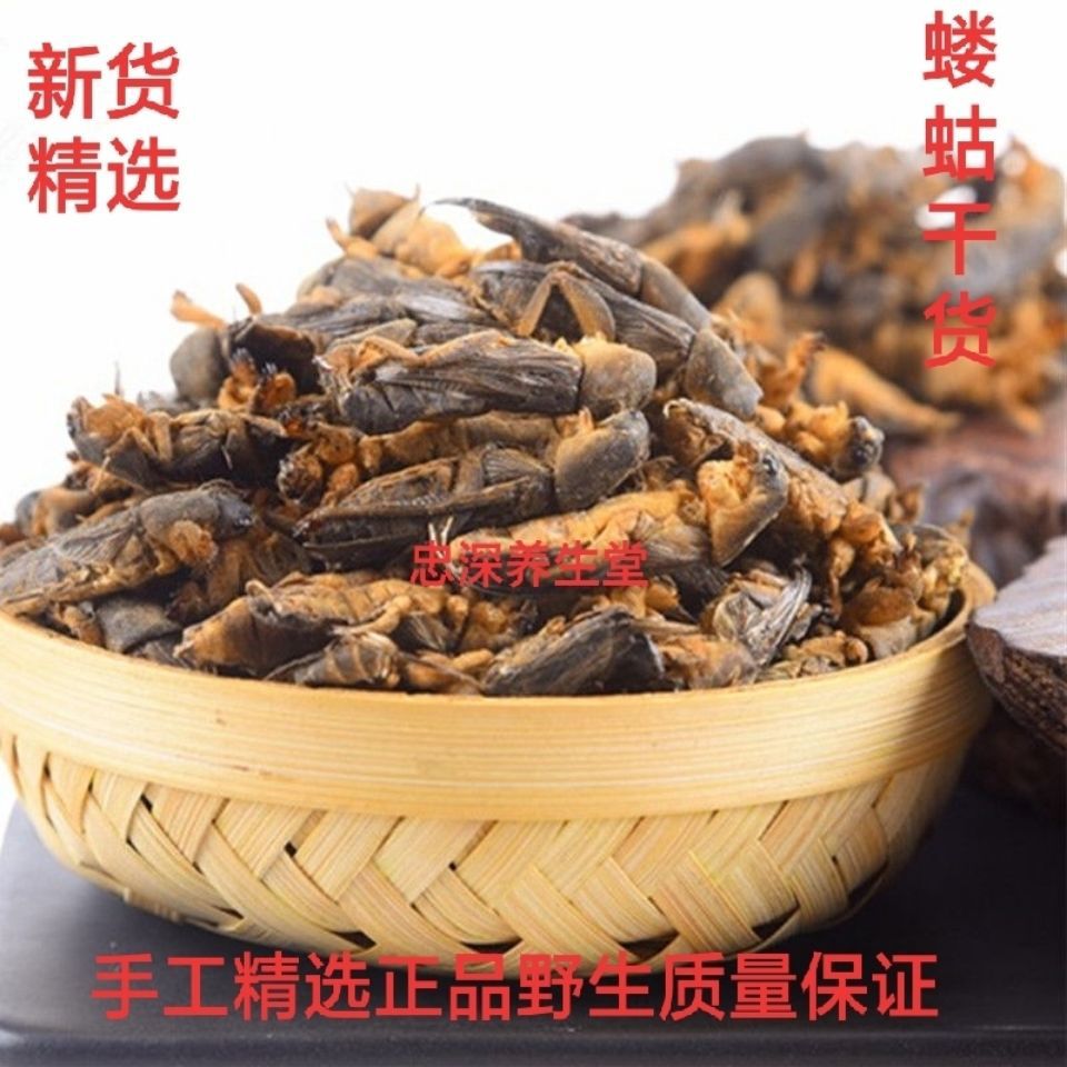 蝼蛄 正品中药材  干品 土狗 拉拉狗 拉拉蛄 多规格包邮