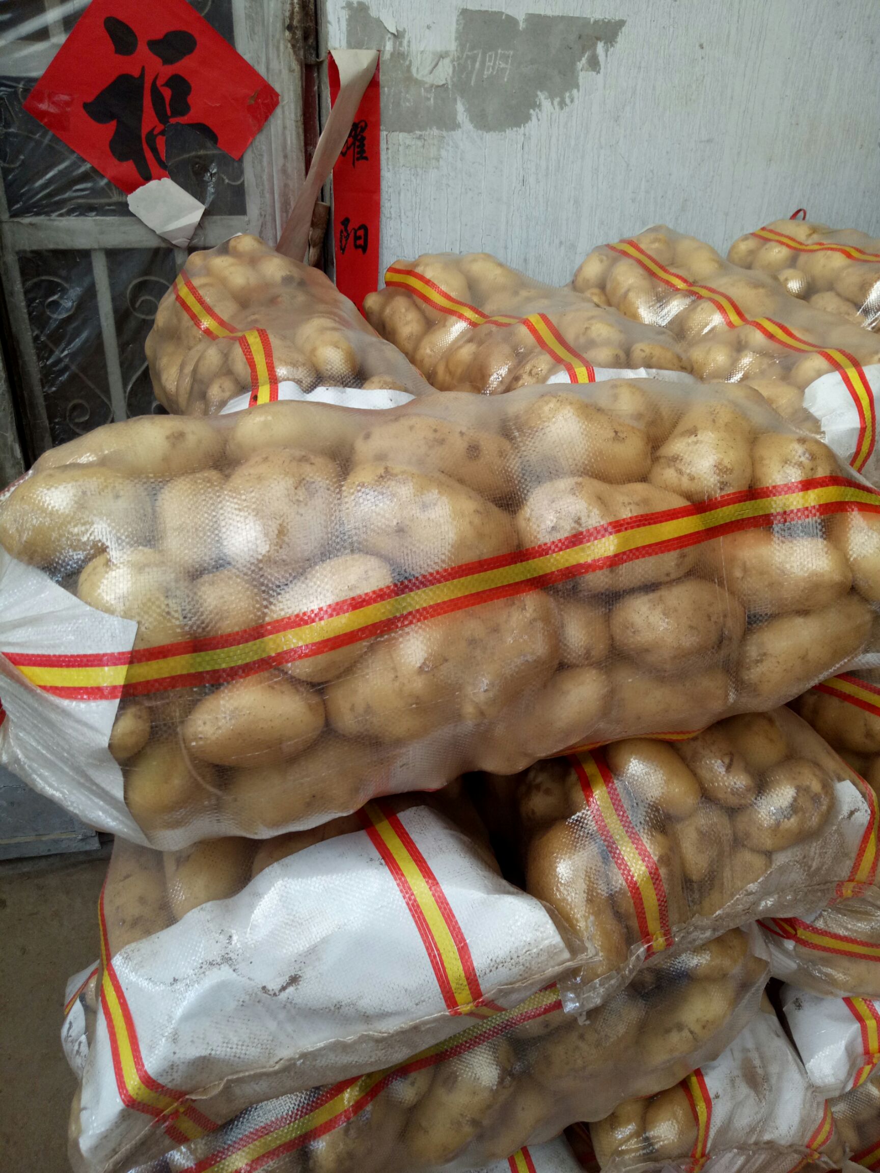 山东土豆产地，山东土豆价格，荷兰十五土豆批发
