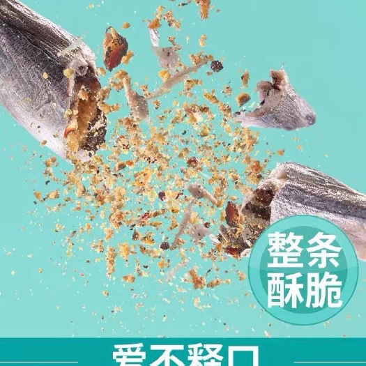饶平县 多春鱼深海鲜活多春鱼烧烤专用