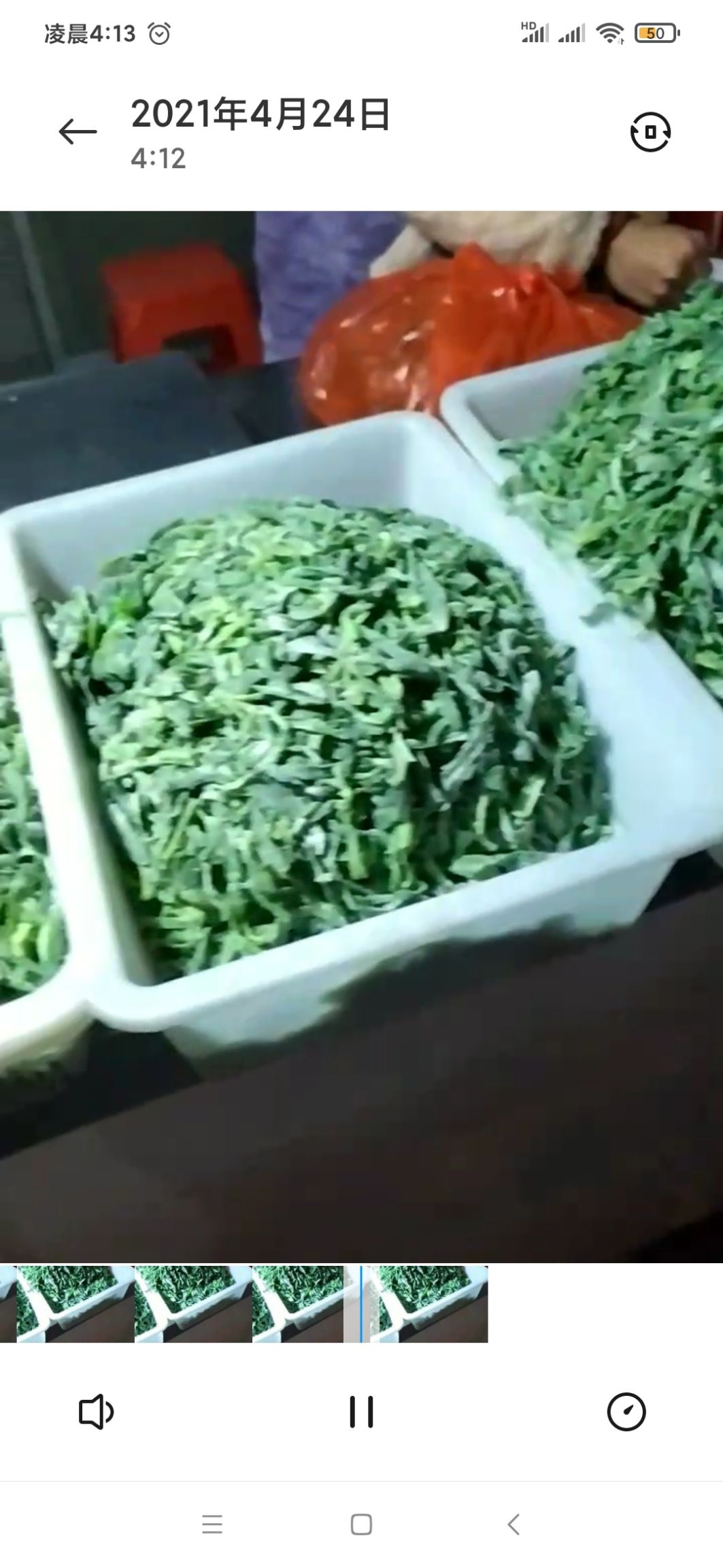 面条菜  蒸菜大全