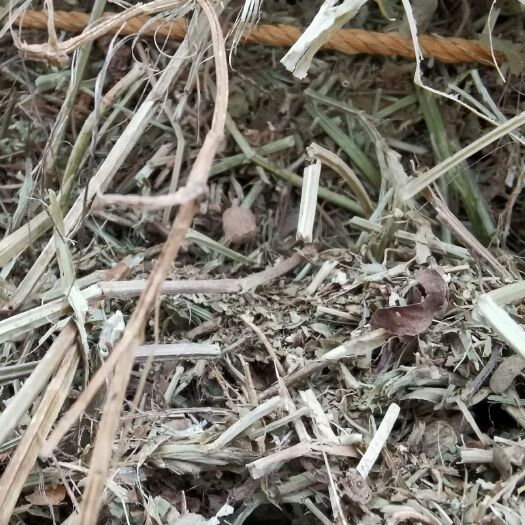 正阳县 长期供应花生秧牛羊草，细糠，小麦草，保证无士无膜，无霉变，