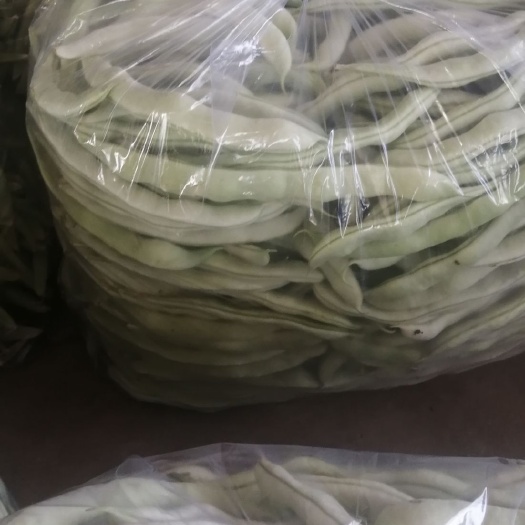 凌海市四季豆  精品白豆角大量上市，有需要的老板来人来电洽谈