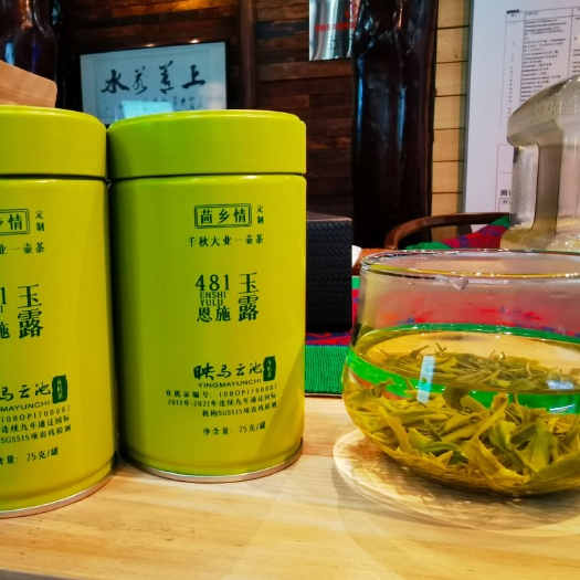恩施市玉露茶  恩施，清明节前采摘