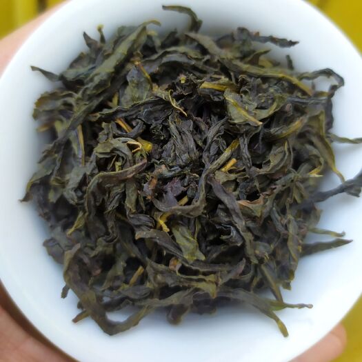 惠来县单丛茶 高山茶心惠来土山茶潮汕大坪土山茶高山茶福建金观音茶叶