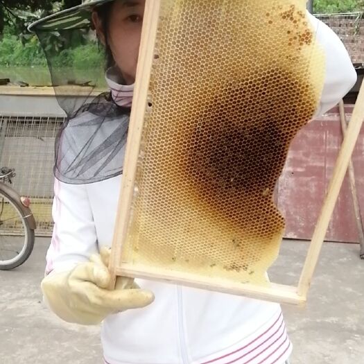 惠州 农家自养土蜂蜜