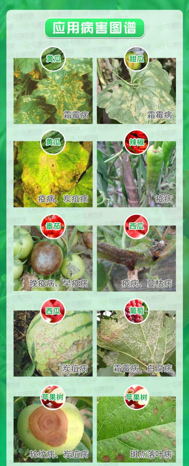 60%唑醚代森联威远化工霜霉病疫病炭疽病白粉病轮纹病