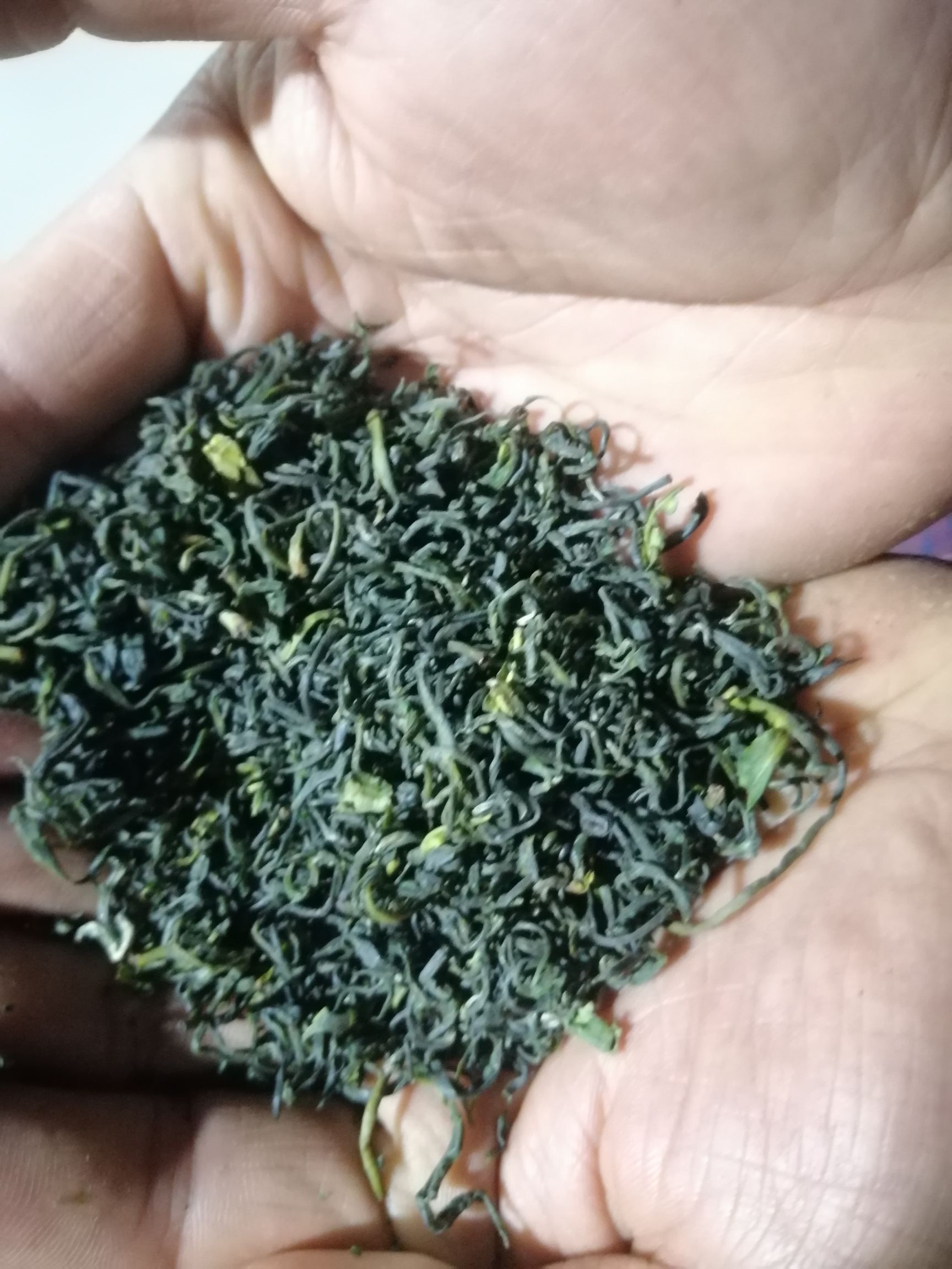 新白茶  秦岭新春茶，茶香四溢，醇香持久，原产地直采发货，支持包装