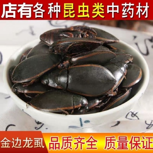亳州中药材 龙虱 金边龙虱水虫 射尿龟 尿缸贼 冷背奇中药