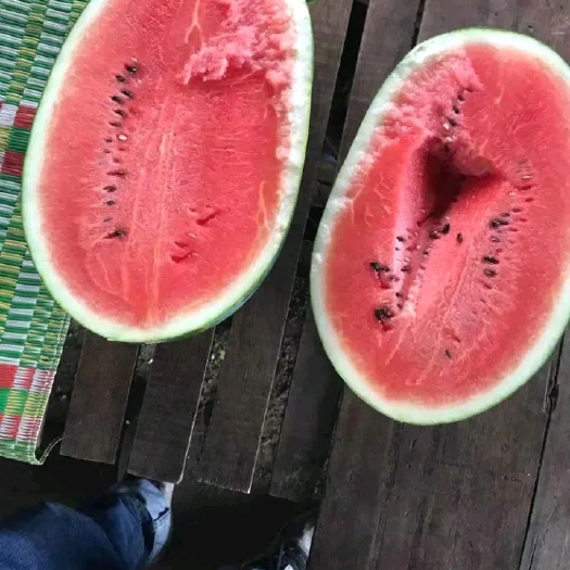 扶绥县 广西崇左黑美人西瓜大量上市