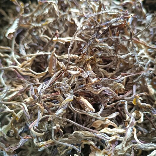 江城县云雾茶 自家茶（10年小树）