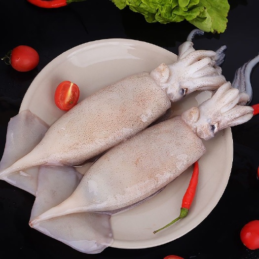 连云港章鱼 整只鱿鱼新鲜冷冻海鲜八爪鱼鱿鱼烧烤配菜火锅食材烤肉批