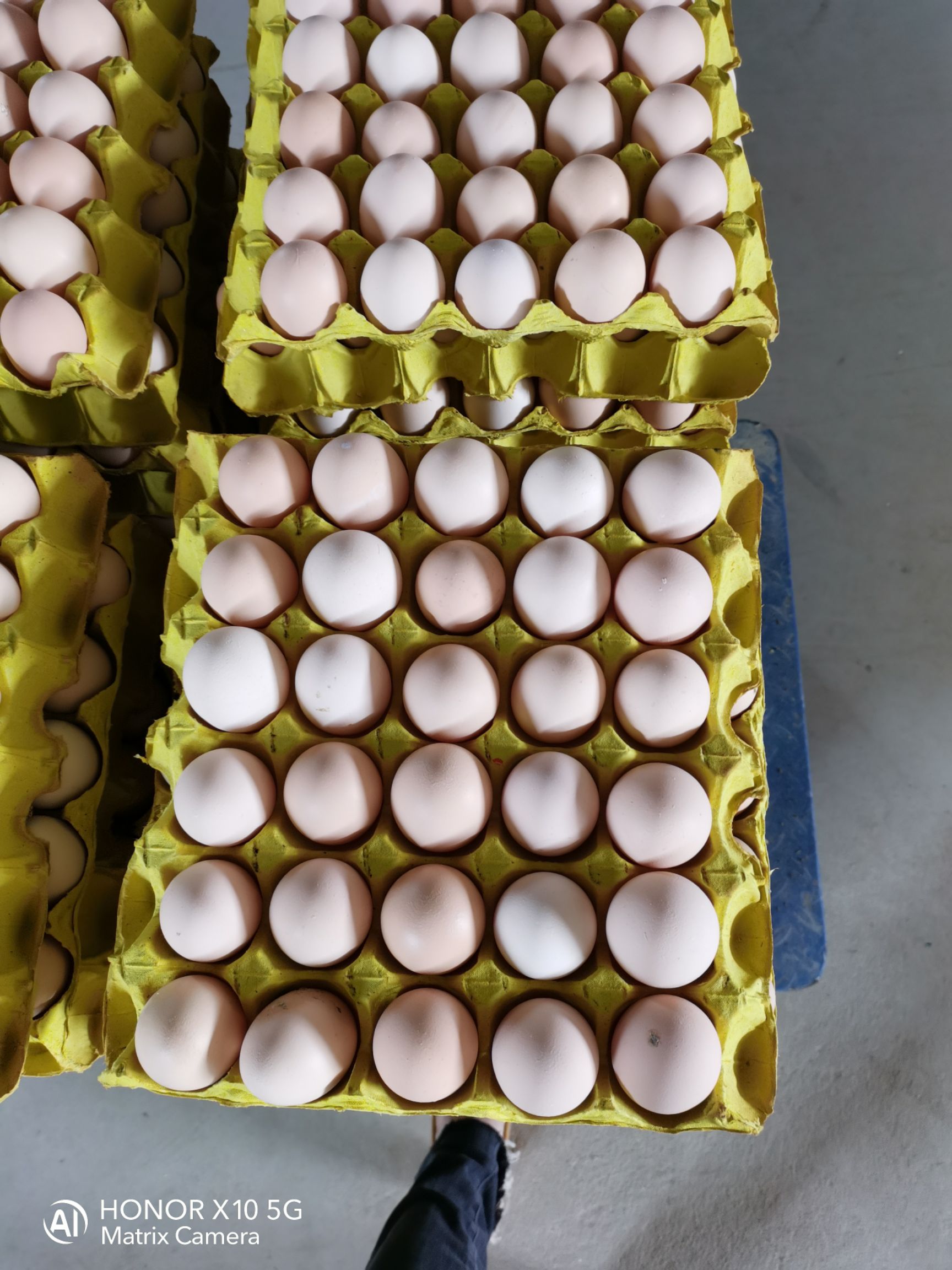 武汉白壳蛋  大绿壳鸡厂直销360枚净重43斤湖北武汉发货，省外10元一件