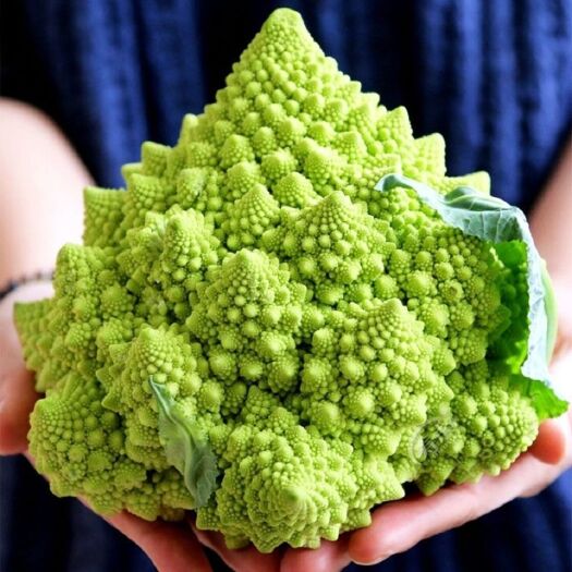 水果黄瓜  山东新鲜蔬菜宝塔菜花法国花椰菜翠绿塔花新鲜蔬菜批发