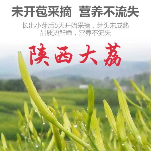 大荔县 陕西省大荔县土特产，黄花菜。农家特产。