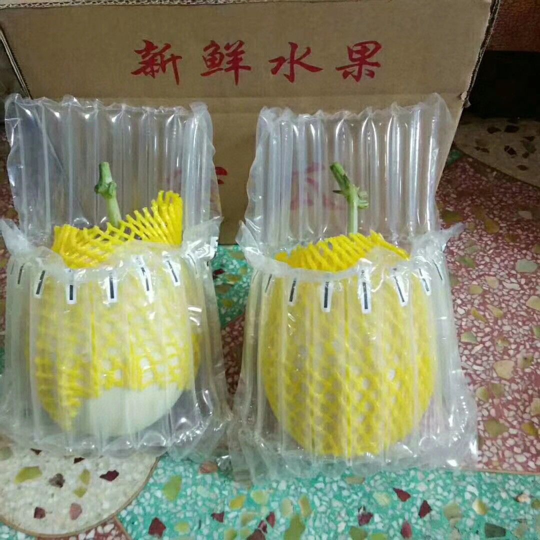 山东聊城莘县新鲜玉菇甜瓜 当日采摘现发货 产地直供批发