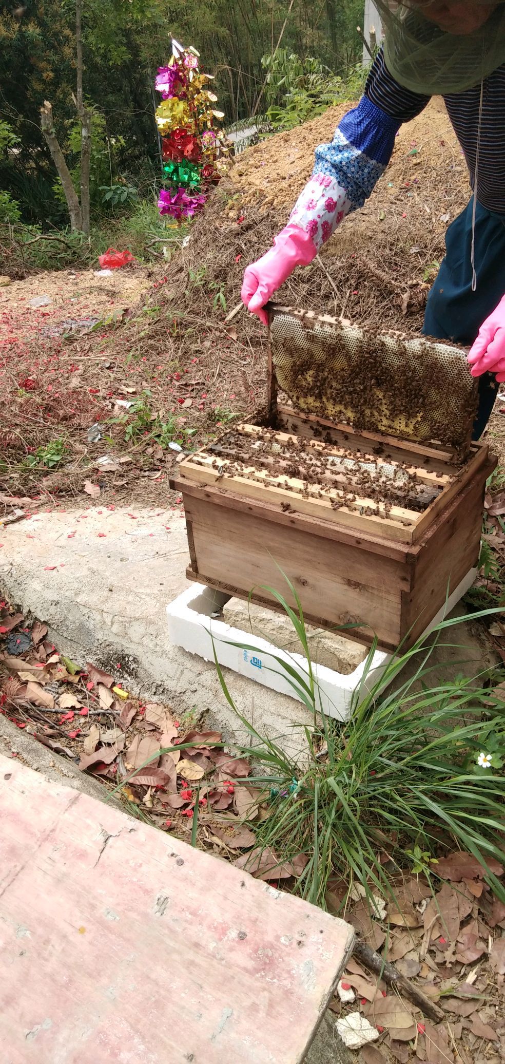自家养的蜂蜜能放多久(自家养的蜂蜜有保质期吗) 自家养的蜂蜜能放多久(自家养的蜂蜜有保质期吗)