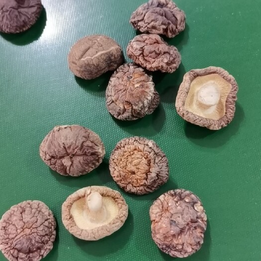 泌阳县光面菇  【优品】常年供货成品 河南精选大小厚香菇 大山