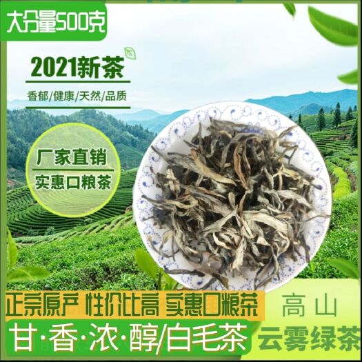 仁化县2022新茶毛尖 茶广东韶关仁化红山白毛茶春茶谷雨茶生茶散茶