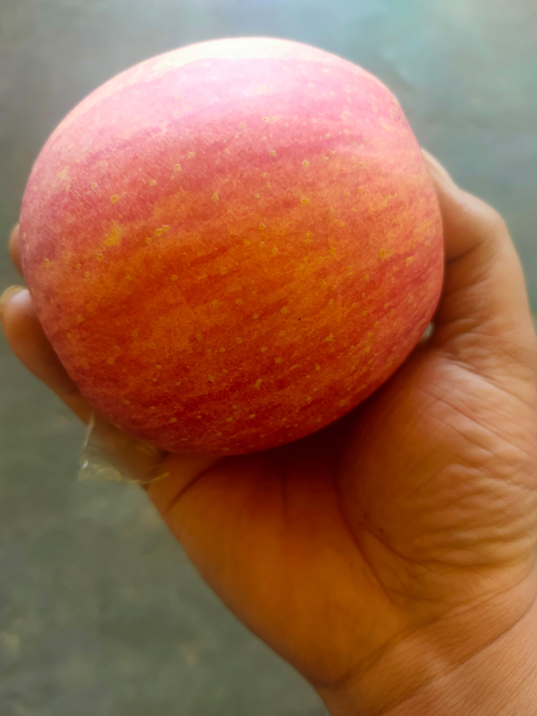 红富士苹果 80以上好苹果