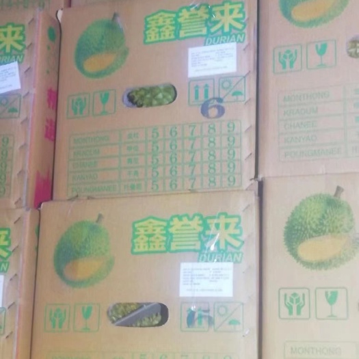 广州金枕头榴莲A果