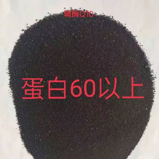 正定县木薯渣  辅酶Q10肉鸡肉鸭料，预防心脏猝死