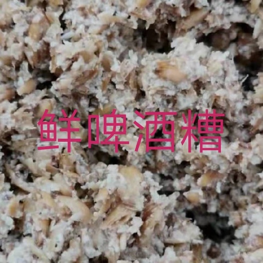 桂平市酒糟  广西啤酒渣适合各种家畜养殖，营养超好