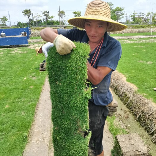 开平市 草卷