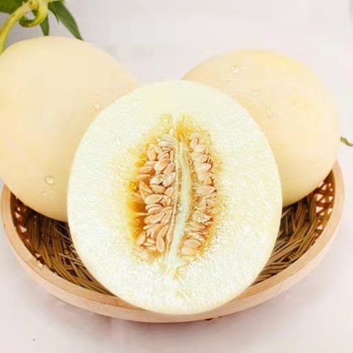 扶风县陕西阎良甜瓜