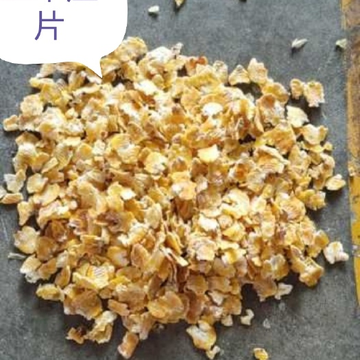 正定县压片玉米  玉米压片