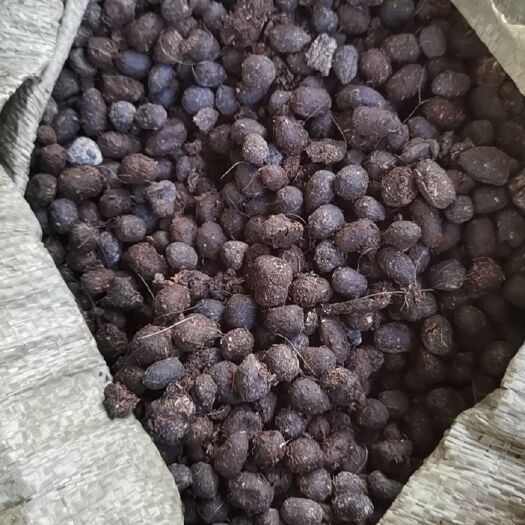 樟树市纯羊粪有机肥自然堆放腐熟发酵百公里内免运费送到