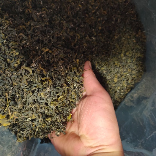 紫金县碧螺春  紫金县龙窝春茶