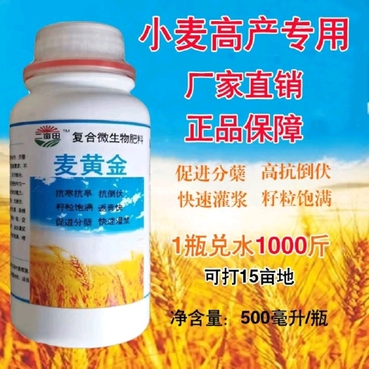 邯郸麦黄金叶面肥小麦高产专用返青快分蘖多促进灌浆籽粒饱满