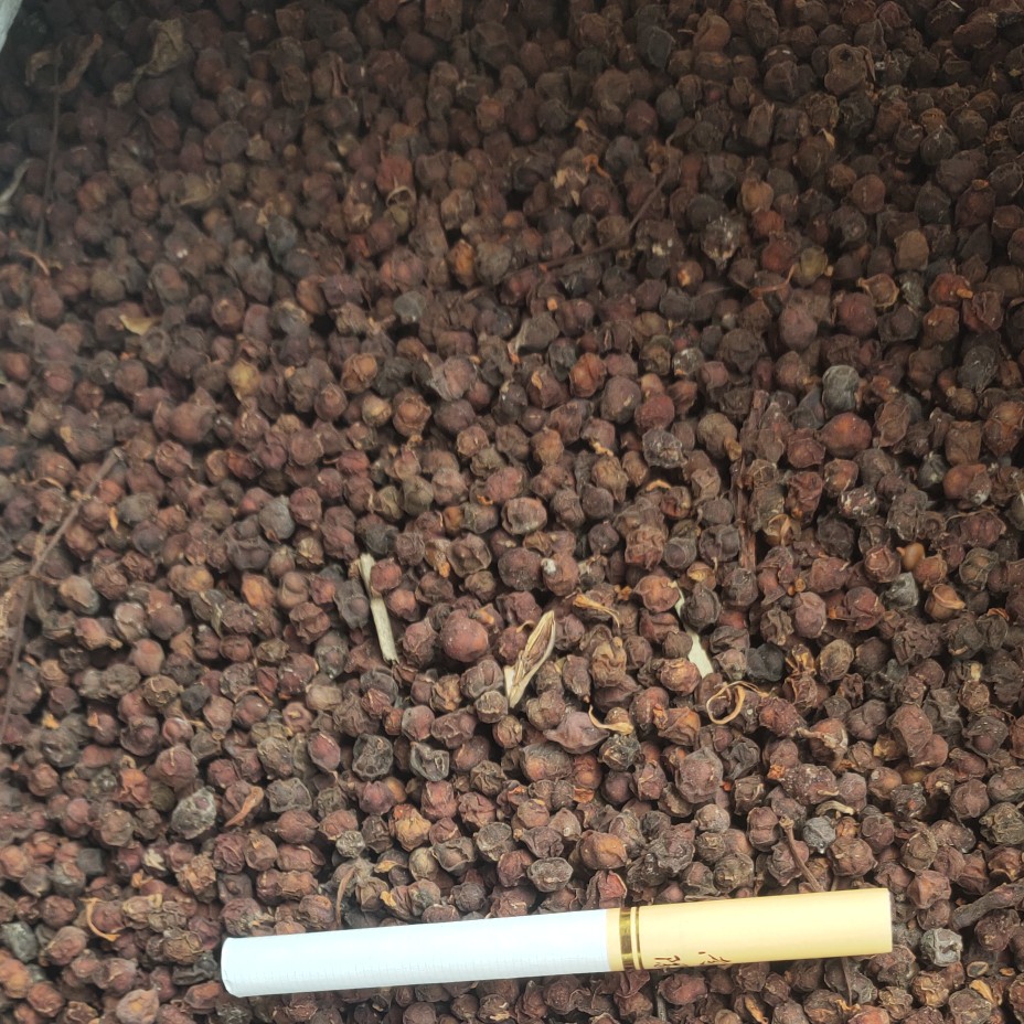 南五味子  五味子